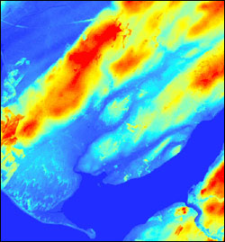 DSM intensity data